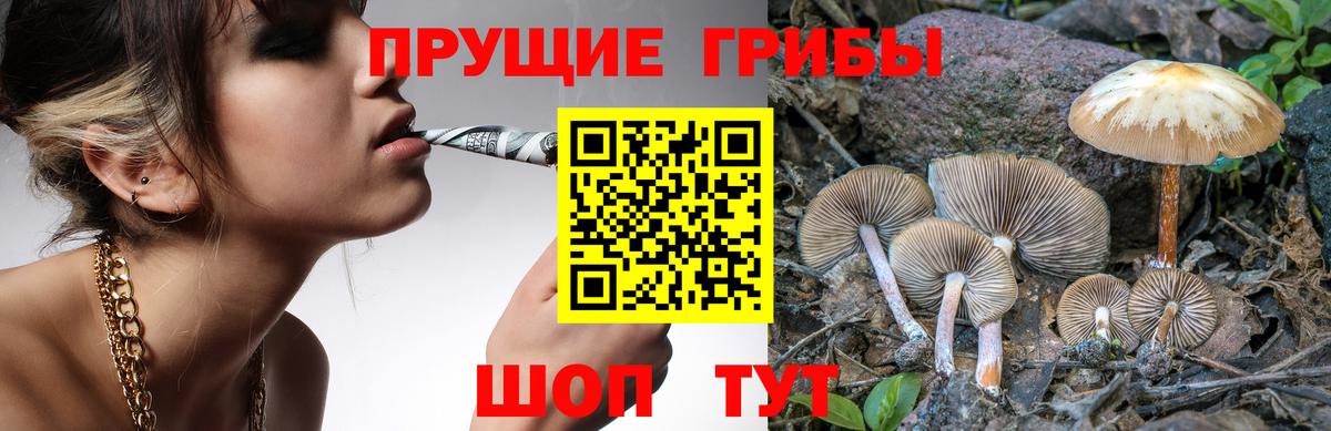 Галлюциногенные грибы мицелий  Вход с VPN  Кашира 
